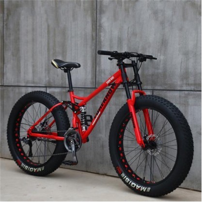 Variable Speed Off-road Beach Mountain Bike with Fat Tire