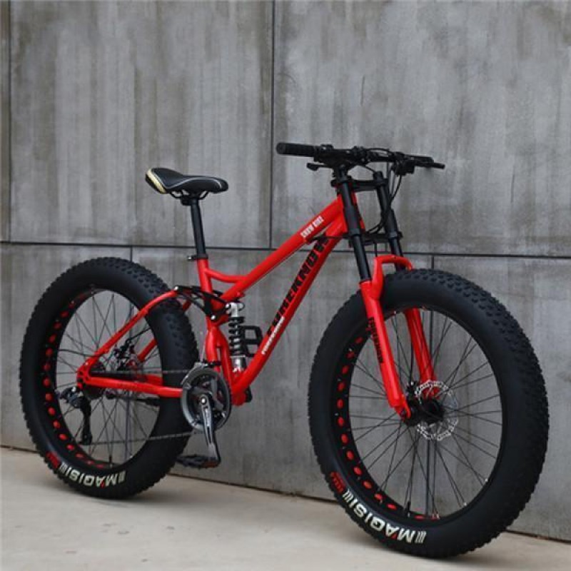 Variable Speed Off-road Beach Mountain Bike with Fat Tire
