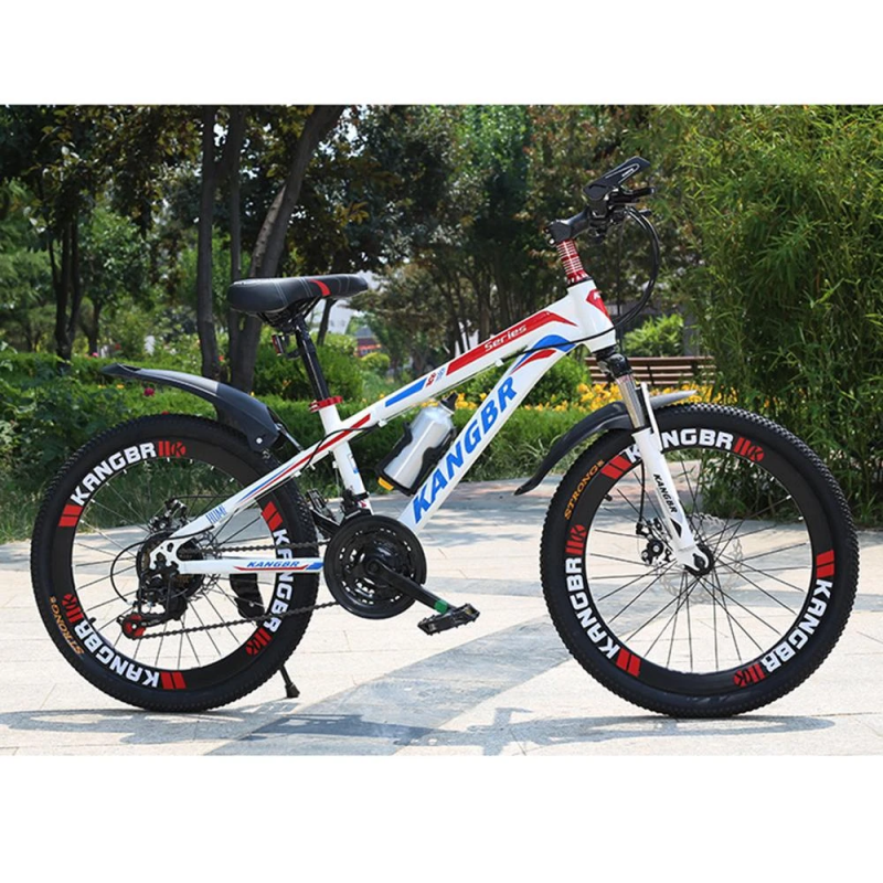 21-Speed Mountain Bike with Disc Brake and Fender
