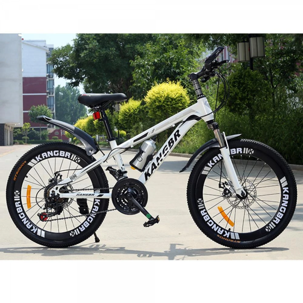 21-Speed Mountain Bike with Disc Brake and Fender