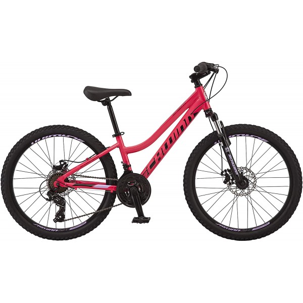 24-Inch 21-Speed Mountain Bike with Aluminum Frame and Disc Brakes